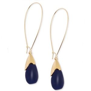 🎁🆕Robert Lee Morris Navy Drop Earrings